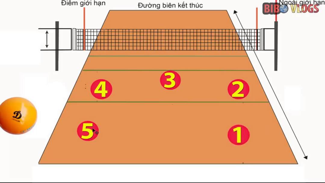 Vị trí chuyền bóng trong một trận đấu bóng chuyền theo luật bóng chuyền