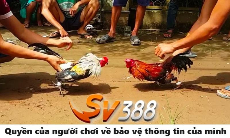 Bảo mật an toàn cho tài khoản của hội viên SV388