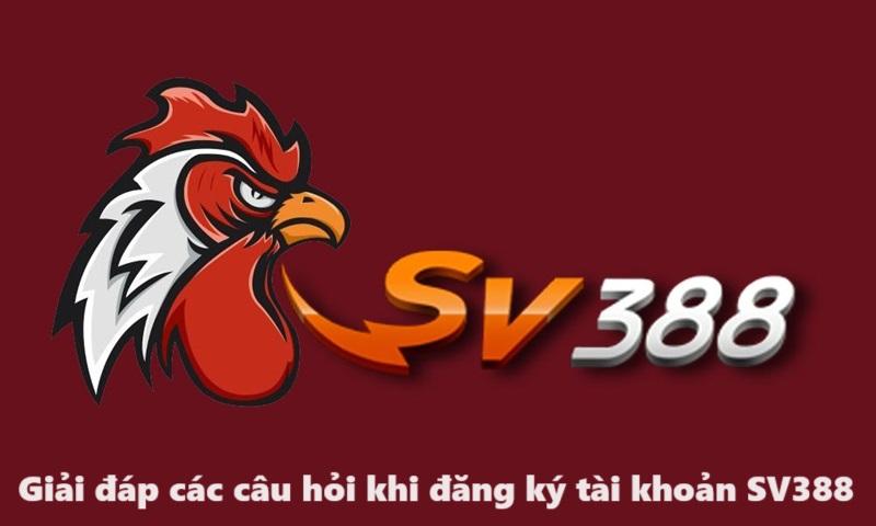 Danh sách các câu hỏi khi đăng ký tài khoản SV388