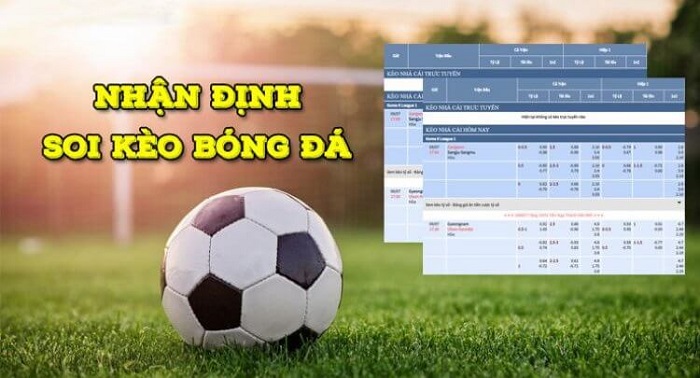 Nghiên cứu các trận đấu